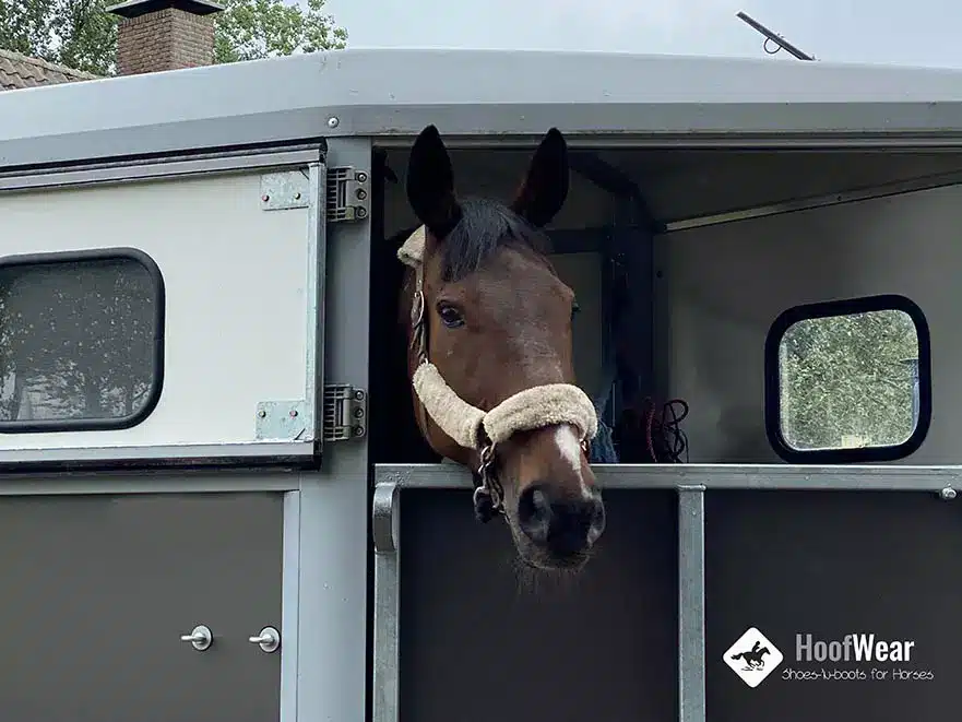 5 Redenen om te kiezen voor een pasconsult bij HoofWear