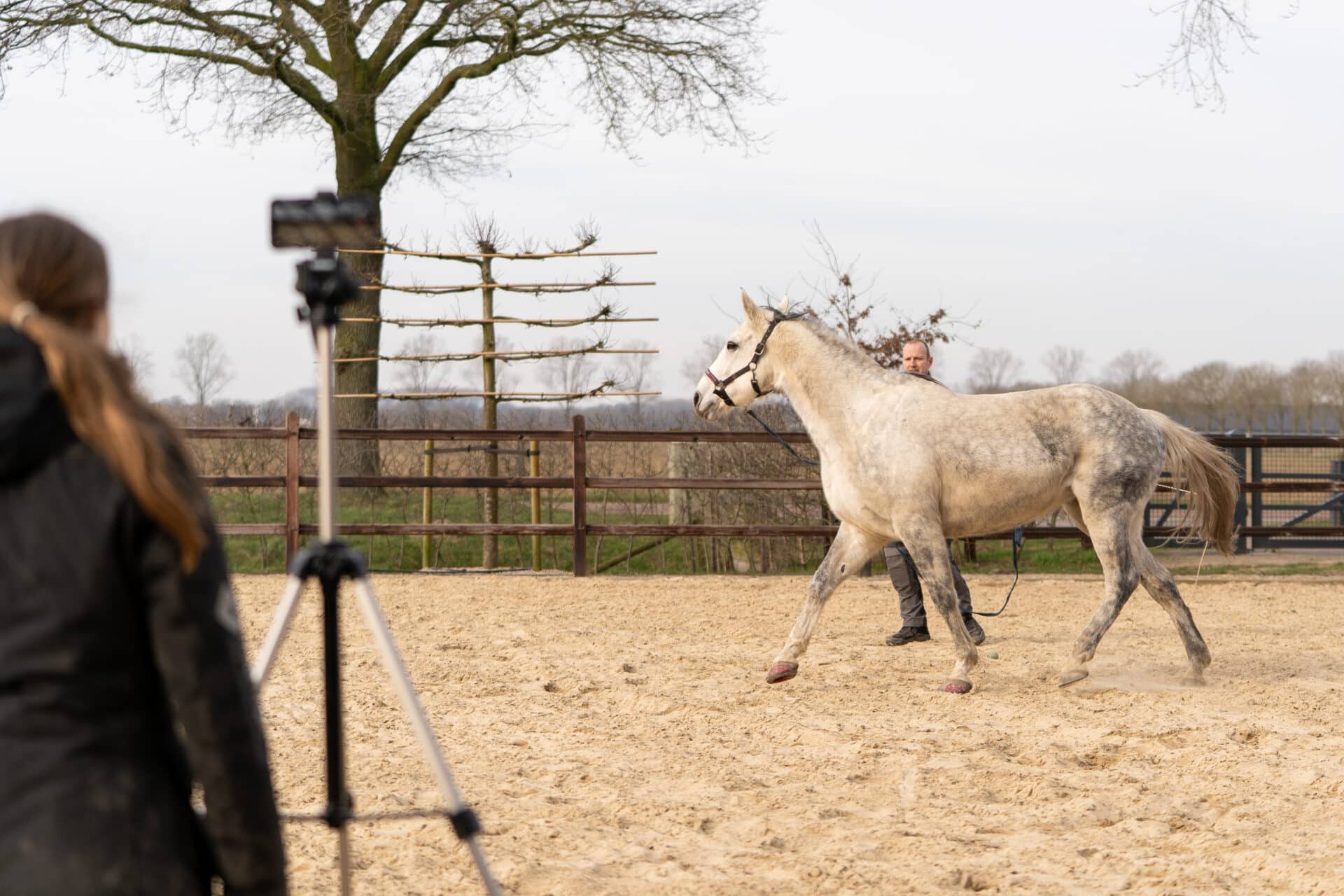 Hoefspecialist Klaas Feuth vertelt over het gebruik van objectieve ganganalyse bij paarden met Ai en hoefsensoren in zijn praktijk