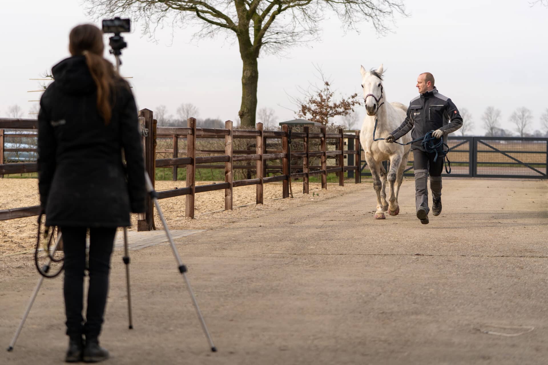 Sleip Ai bij Hoefspecialist Klaas Feuth